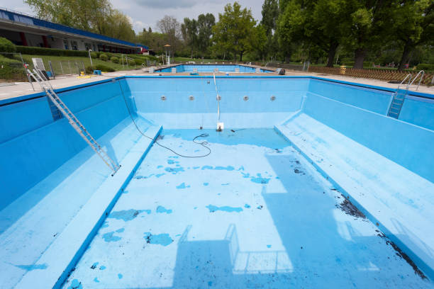 Best Water damage repair service  in Frisco City, AL