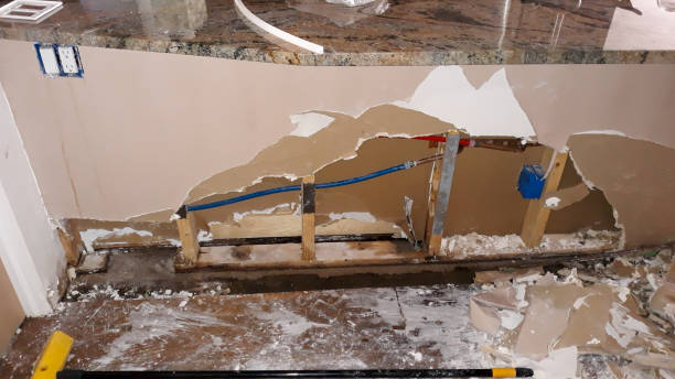 Best Water damage contractors near me  in Frisco City, AL