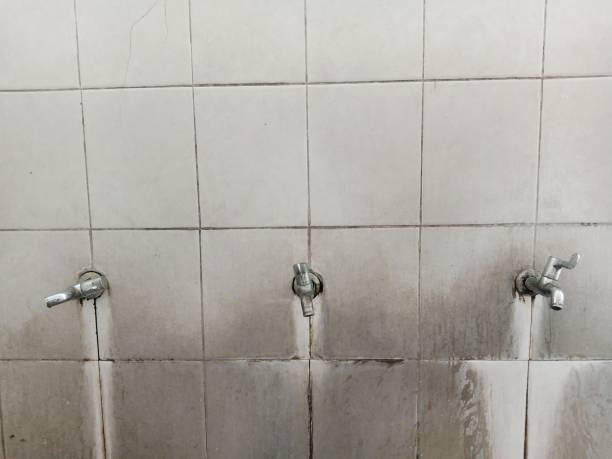  Frisco City, AL Water damage restoration Pros